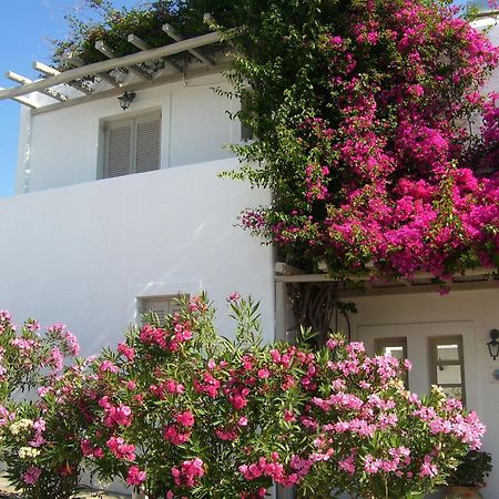 Despina'S Mare Aparthotel Naousa  Luaran gambar