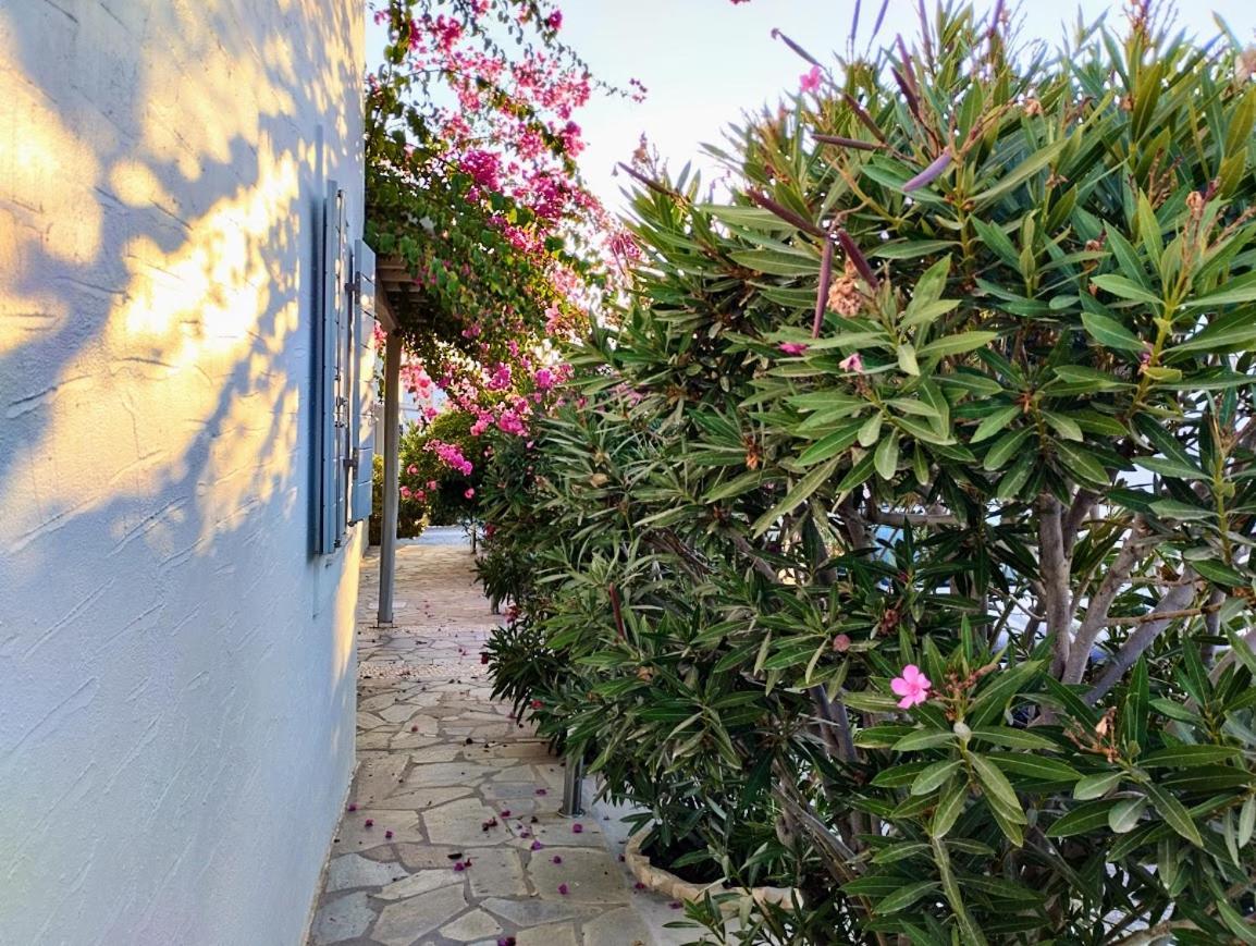 Despina'S Mare Aparthotel Naousa  Luaran gambar