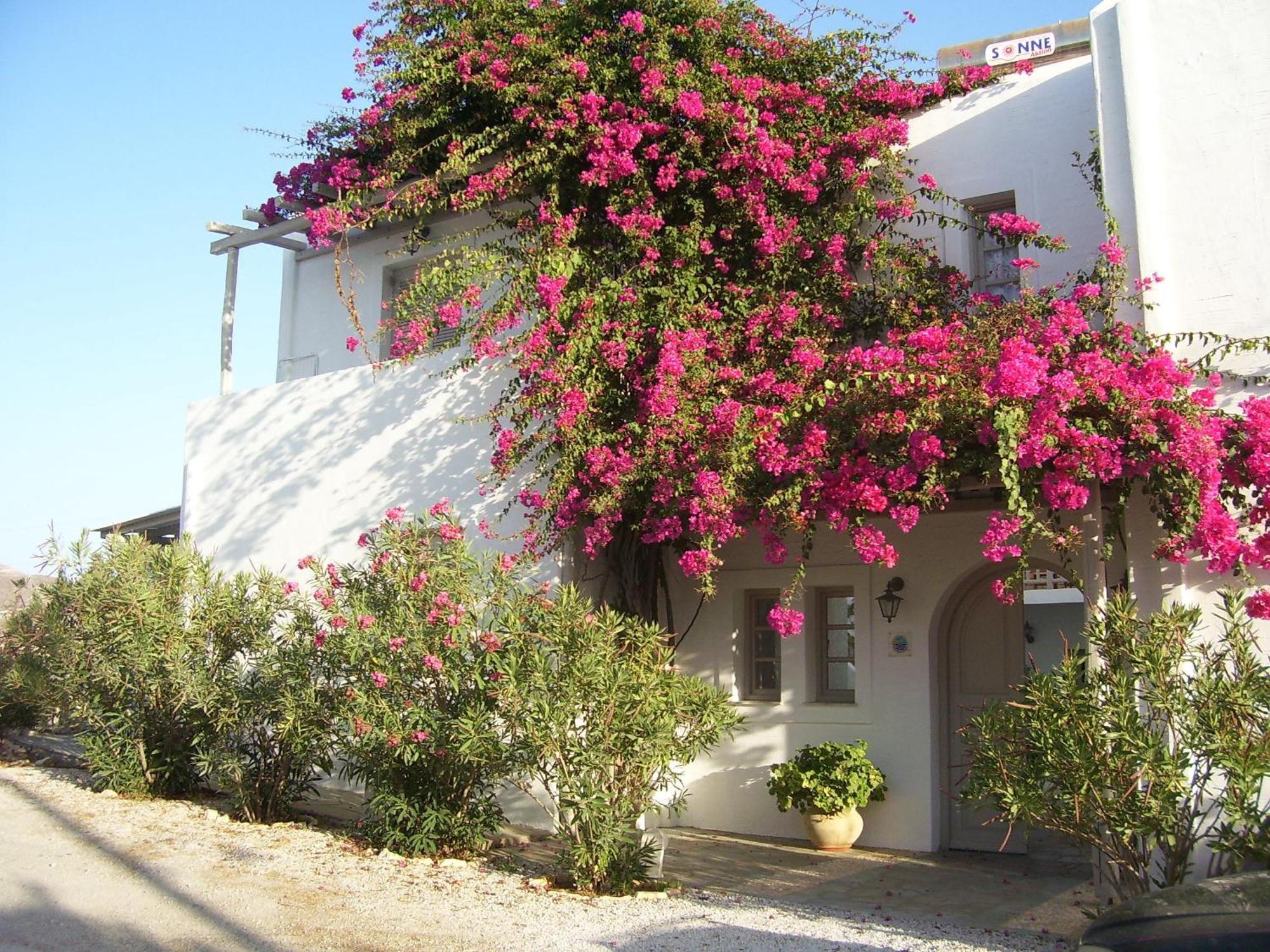 Despina'S Mare Aparthotel Naousa  Luaran gambar