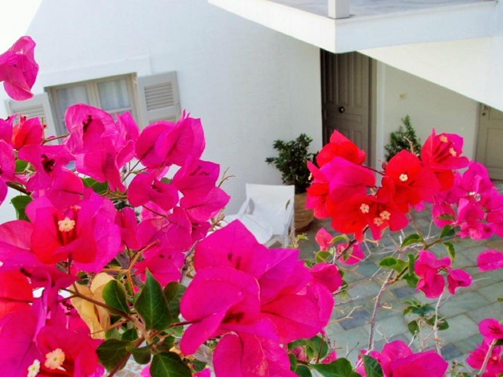 Despina'S Mare Aparthotel Naousa  Luaran gambar