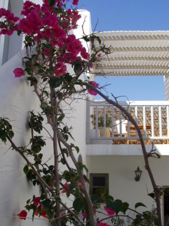 Despina'S Mare Aparthotel Naousa  Luaran gambar